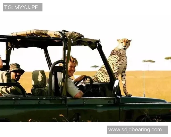 肯尼亚与坦桑尼亚的足球对决分析与历史回顾