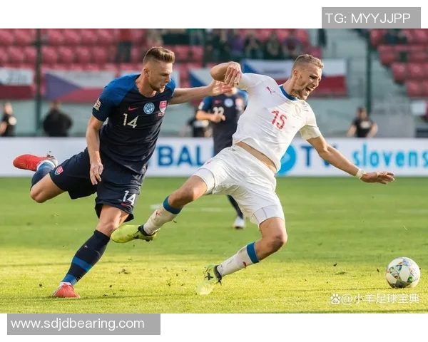 荷兰与波黑上半场精彩对决分析及战术解析