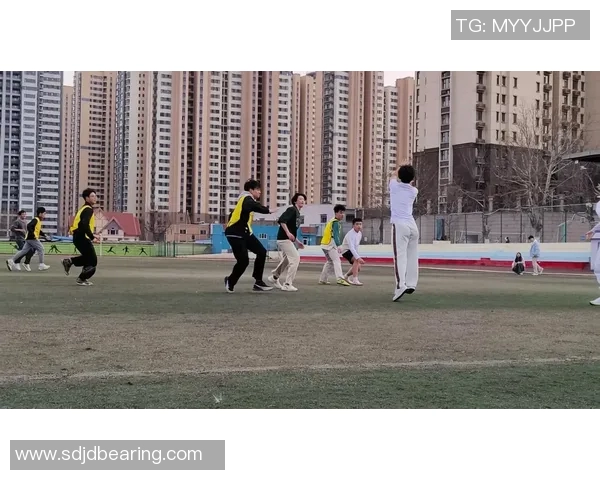 科学飞盘训练：提升心理素质的有效方法与技巧探讨MBA