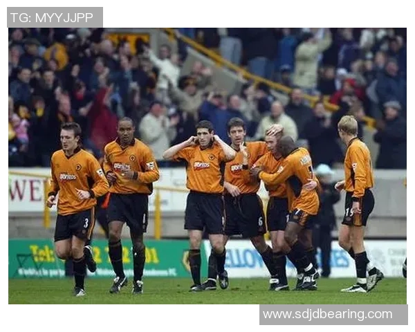 狼队与南安普敦激战正酣谁能在英超赛场上笑到最后