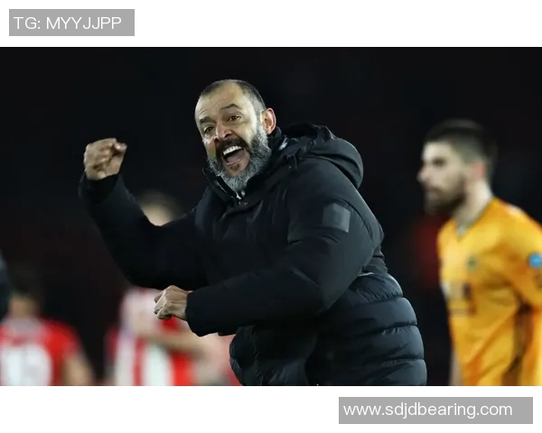 若昂内维斯的足球之路：从青训新星到职业联赛的闪耀之星